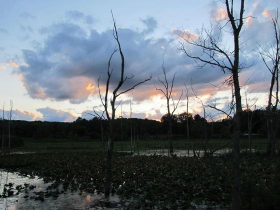 Cuyahoga Valley Beaver Marsh