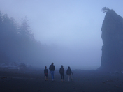 Olympic National Park