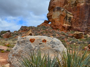 Canyons of the Ancients National Monument