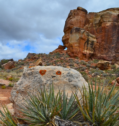 Canyons of the Ancients National Monument