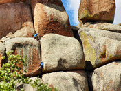 Medicine Bow National Forest