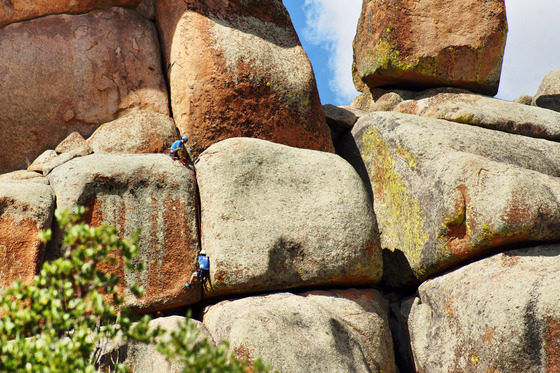 Medicine Bow National Forest