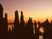 Mono Lake / Inyo National Forest
