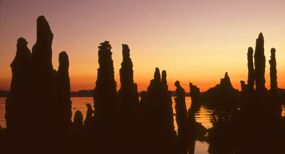 Mono Lake / Inyo National Forest