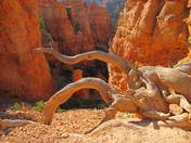 Bryce Canyon National Park