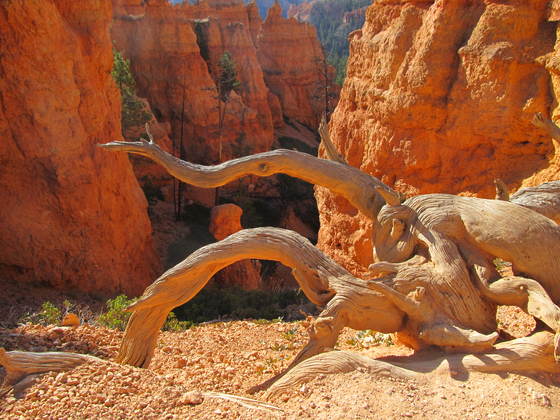 Bryce Canyon National Park