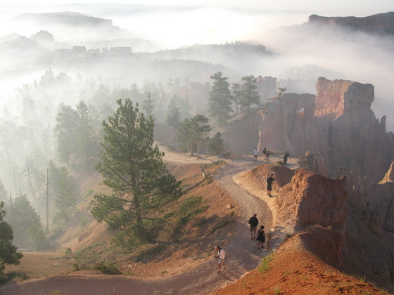 Bryce National Park