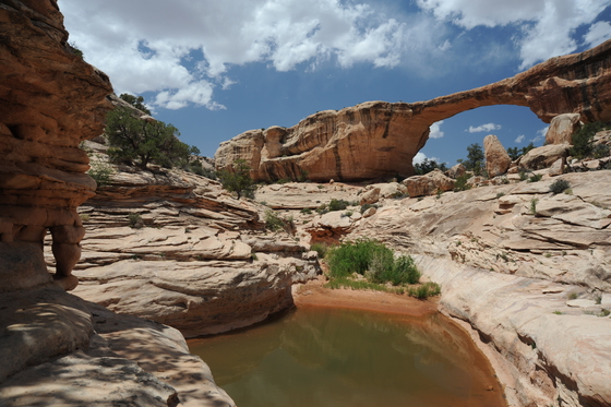 Natural Bridges National Monument