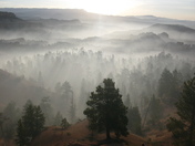 Bryce National Park