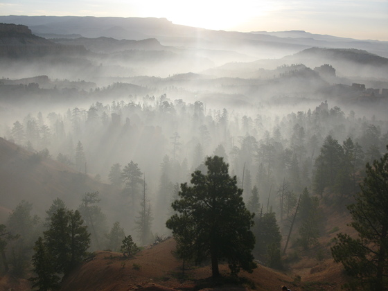 Bryce National Park
