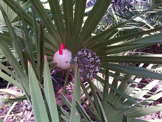 Cumberland Island National Seashore