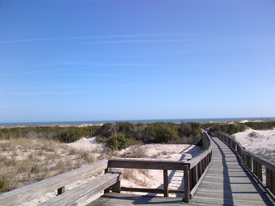 Cumberland Island National Seashore