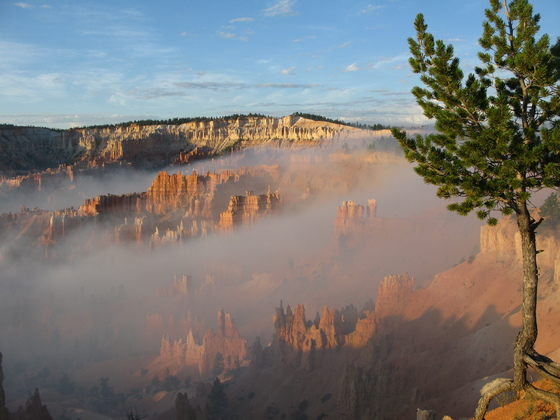 Bryce National Park