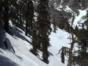 Inyo National Forest / John Muir Wilderness