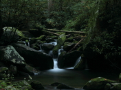 Smoky Mountain National Park