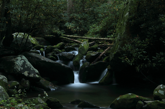 Smoky Mountain National Park