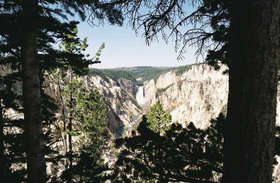 Yellowstone