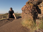 Petrified Forest National Park