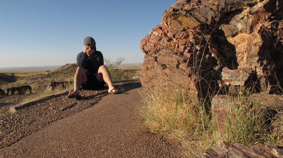 Petrified Forest National Park