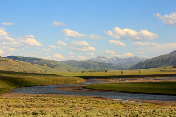 Yellowstone National Park