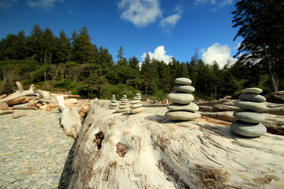 Olympic National Park