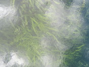 Everglades National Park