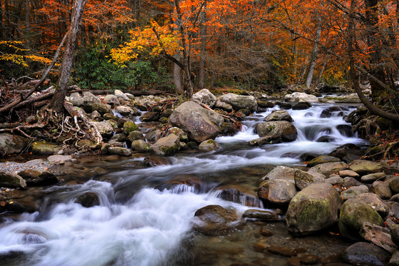 Great Smoky Mountains