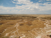 Petrified Forest National Park