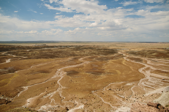 Petrified Forest National Park