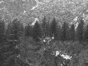 Yosemite National Park