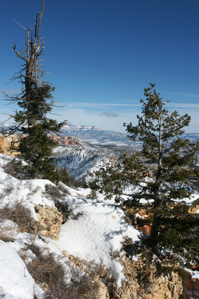 Bryce National Park