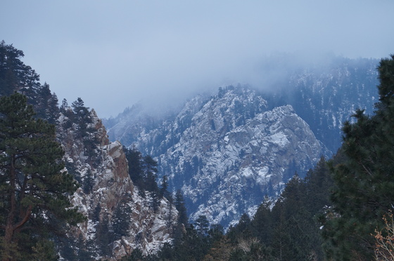 Roosevelt National Forest