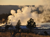Yellowstone National Park