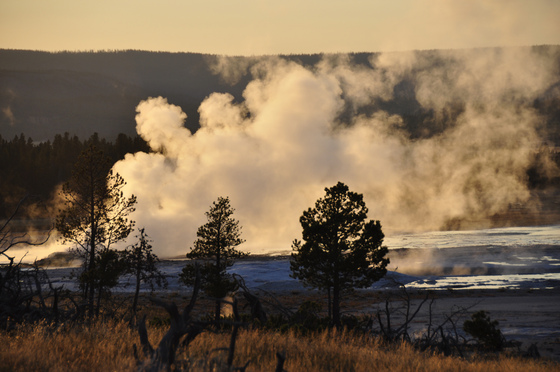 Yellowstone National Park