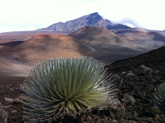 Haleakala National Park