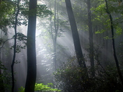 Great Smoky mountains