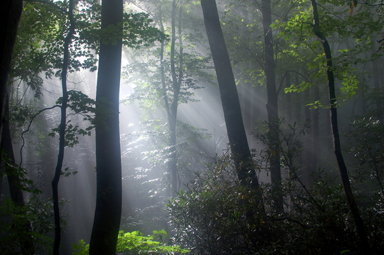 Great Smoky mountains