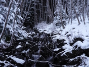 Mount Baker - Snoqualmie National Forest