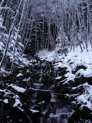 Mount Baker - Snoqualmie National Forest