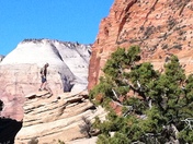 Zion National Park