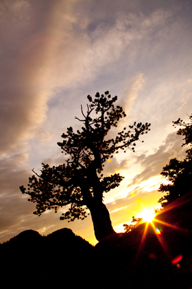Rocky Mountain National Park