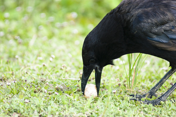 Everglades National Park