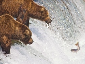 Katmai National Park, Alaska