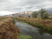 Uinta-Wasatch-Cache National Forest