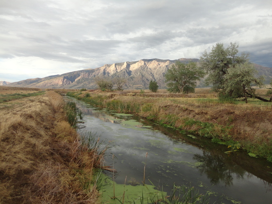 Uinta-Wasatch-Cache National Forest
