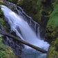 Olympic National Park