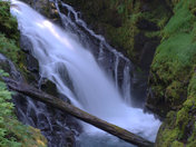 Olympic National Park