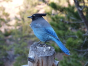 Rocky Mountain National Park