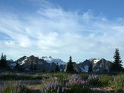Olympic national park