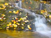 Little Creek in Killarney